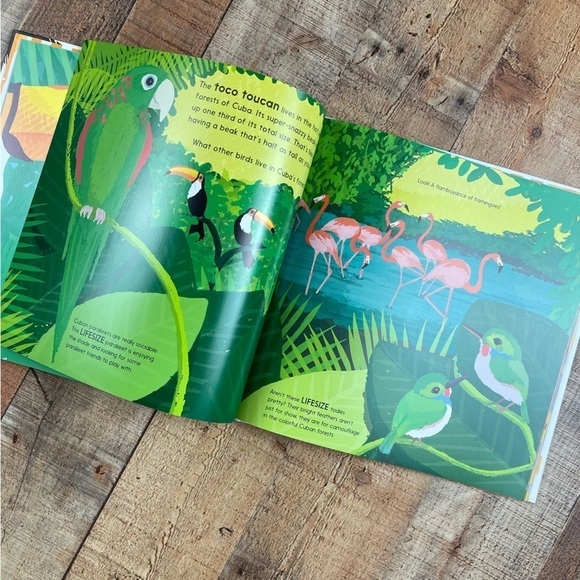 NEW Usborne Lifesize Hardcover Children’s Picture Book Animals - Picture 3 of 4